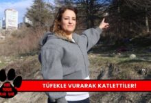 Ankara'da Hayvan Katliamı Tüfekle Vurularak Öldürüldüler