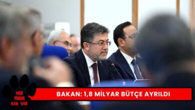 Bakan Yumaklı'dan Sokak Hayvanlarına İlişkin Açıklama