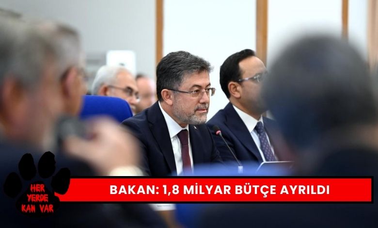 Bakan Yumaklı'dan Sokak Hayvanlarına İlişkin Açıklama