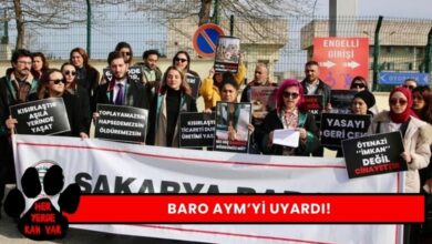 Baro Hayvan Hakları Merkezi AYM'ye Çağrı Yaptı