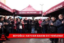 Beyoğlu Belediyesi Hayvan Bakımevini Yeniledi