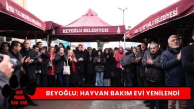 Beyoğlu Belediyesi Hayvan Bakımevini Yeniledi