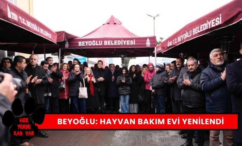 Beyoğlu Belediyesi Hayvan Bakımevini Yeniledi