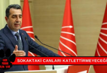 CHPli Erhan Adem Sokaktaki Canları Katlettirmeyeceğiz Dedi ve