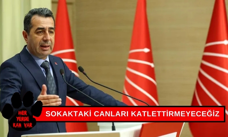 CHPli Erhan Adem Sokaktaki Canları Katlettirmeyeceğiz Dedi ve