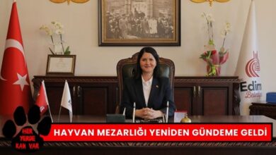 Evcil Hayvan Mezarlığı Tekrar Gündeme Geldi