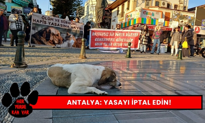 Hayvan Hakları Savunucuları Yasayı İptal Edin