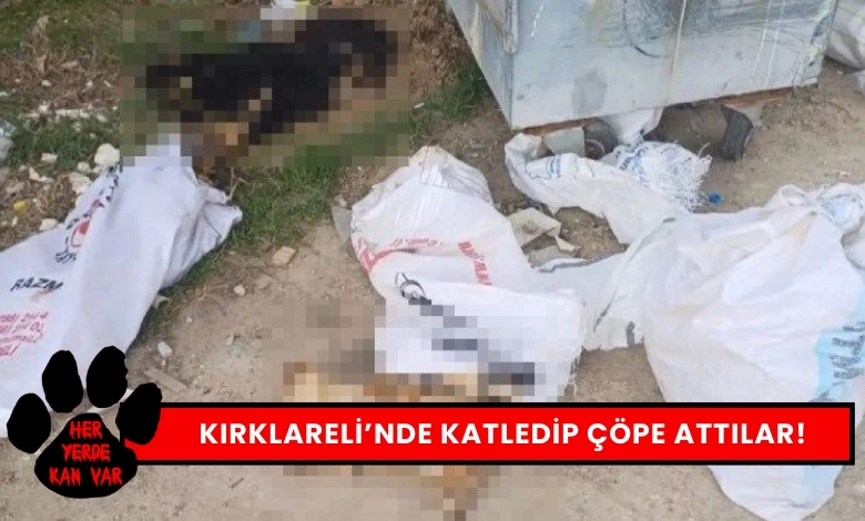 Kırklareli Hayvan Katliamı Katledip Çöpe Attılar!