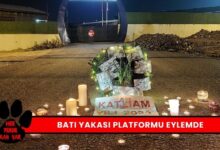 Kocaeli Batı Yakası Hayvan Hakları Platformu Eylemde