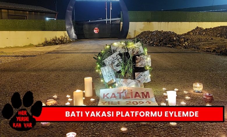 Kocaeli Batı Yakası Hayvan Hakları Platformu Eylemde