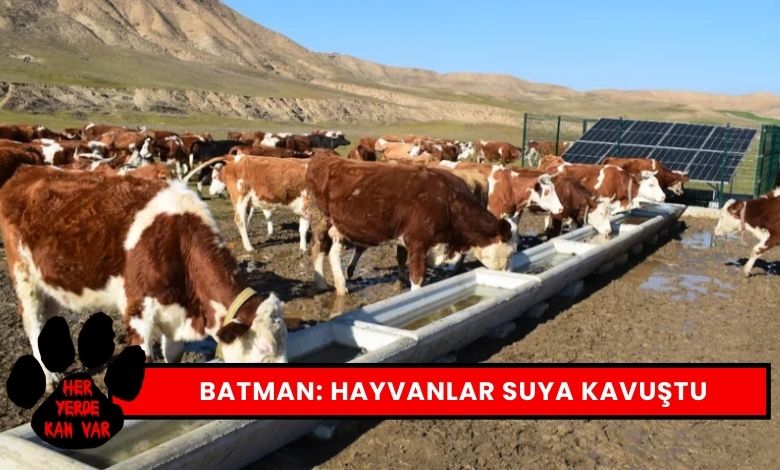 Serçe Parmak Projesi Hayata Geçirildi