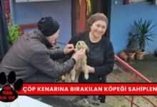 Zonguldak İçimizi Isıttı Bulduğu Köpeği Sahiplendi