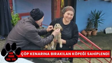 Zonguldak İçimizi Isıttı Bulduğu Köpeği Sahiplendi