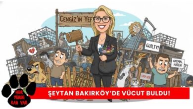 Ayşegül Cengiz Oyunları ''2.Perde'' Bakırköy 'de. Bir Katliamın Temelleri