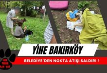 Bakırköy'de Yasadışı Yüksek Doz İğne İle Müdahale