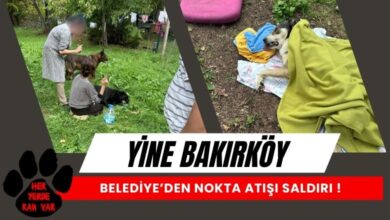 Bakırköy'de Yasadışı Yüksek Doz İğne İle Müdahale