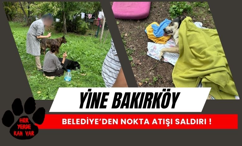 Bakırköy'de Yasadışı Yüksek Doz İğne İle Müdahale