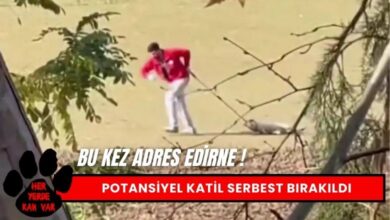 Kötü Muamele Uygulayan Belediye İşçisi Serbest