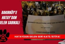 Bakırköylü Hayvan Korumacılar Öfkeli ve Şikayetçi